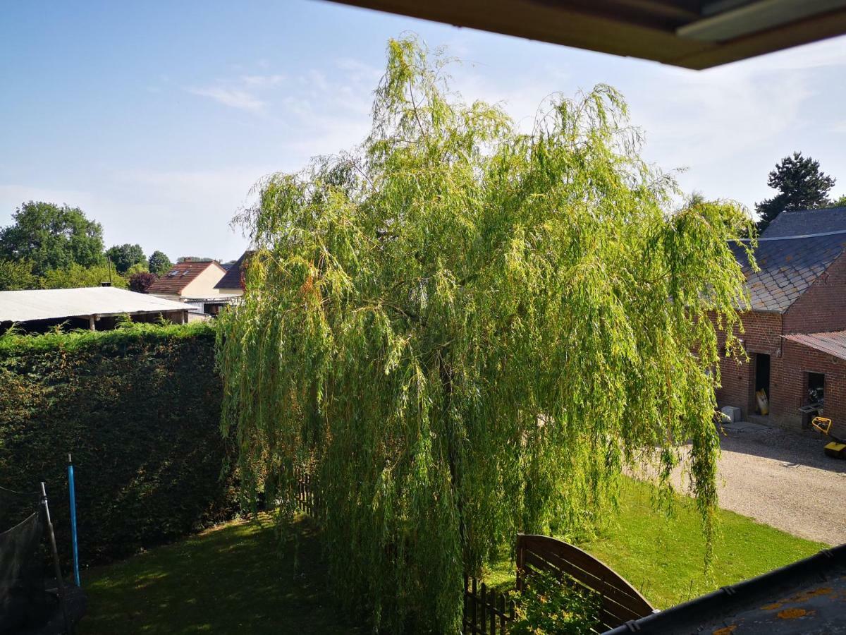 Gite a la Ferme - Baie de Somme Saint-Quentin-Lamotte-Croix-au-Bailly Extérieur photo